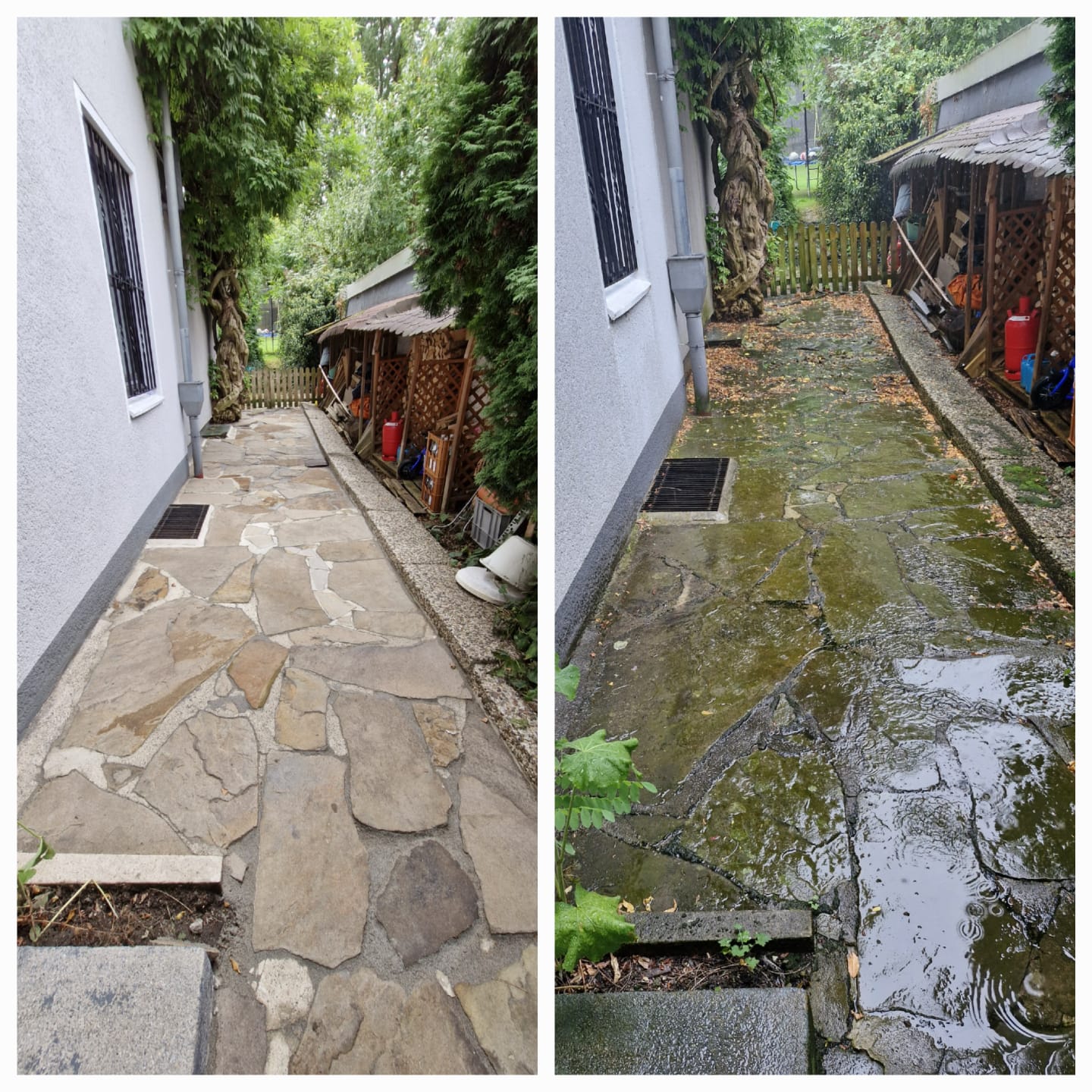 WhatsApp Image 2025-03-06 at 18.47.46