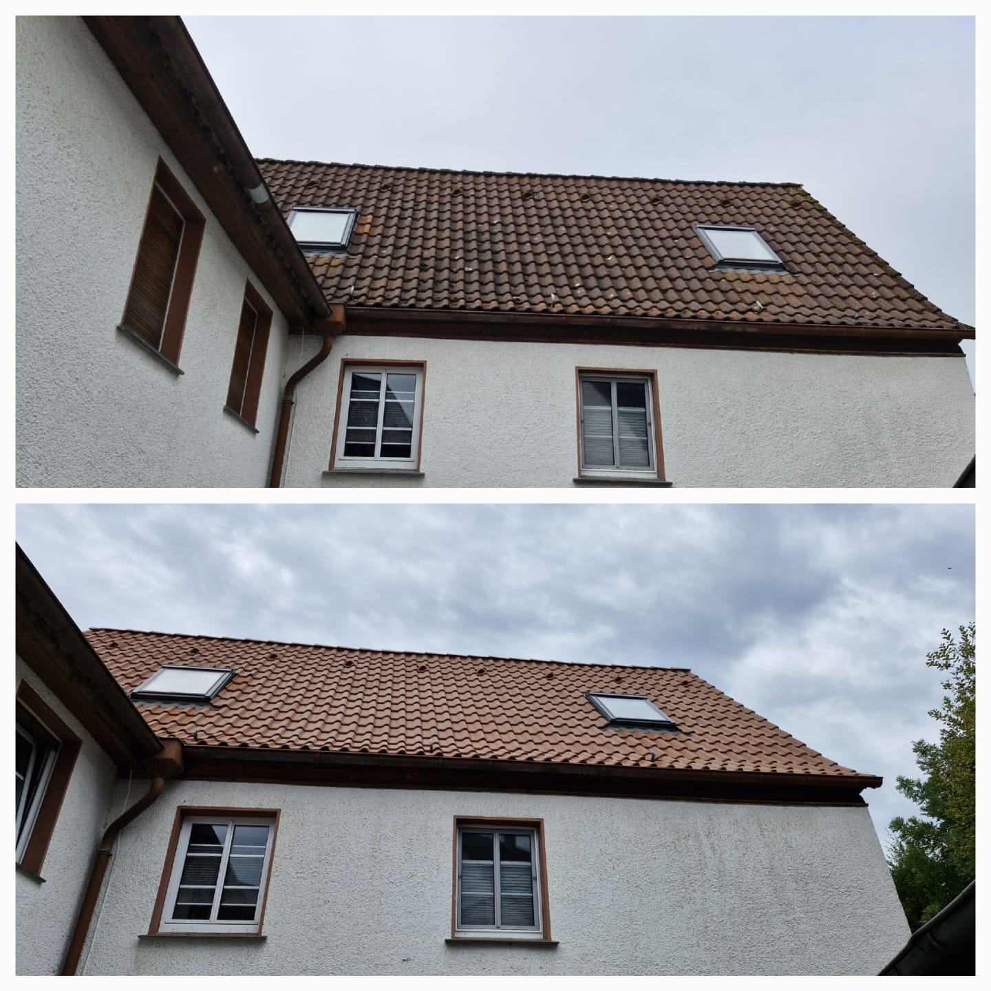 WhatsApp Image 2025-03-06 at 18.47.47 (1)