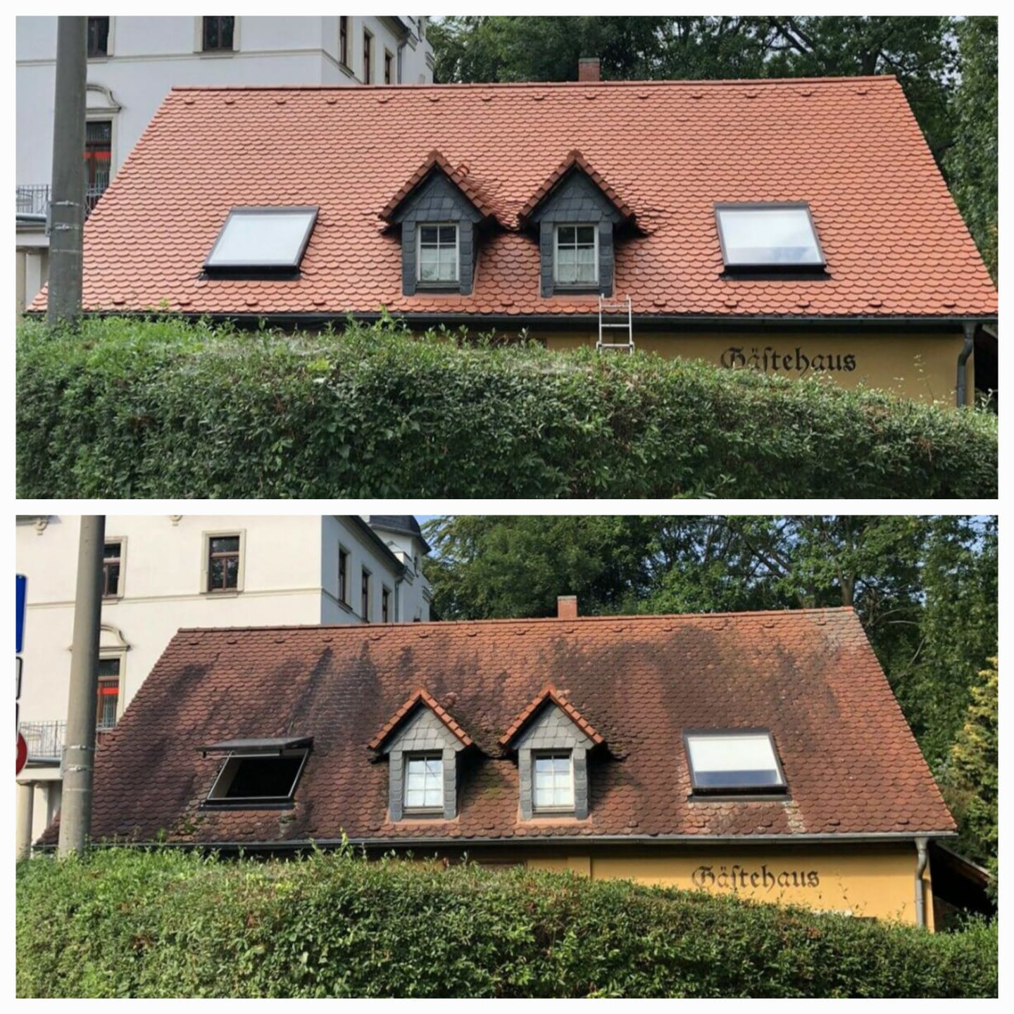 WhatsApp Image 2025-03-06 at 18.47.47 (5)