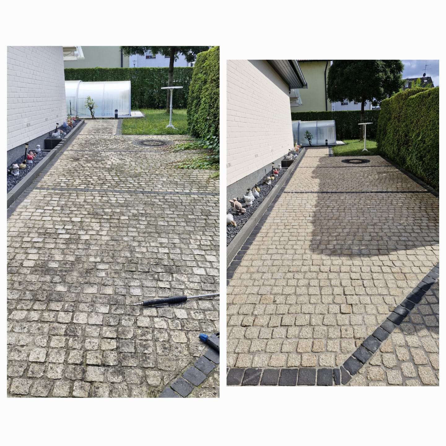 WhatsApp Image 2025-03-06 at 18.48.30